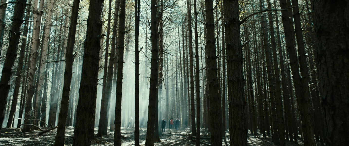 rendez-vous mafieu en forêt